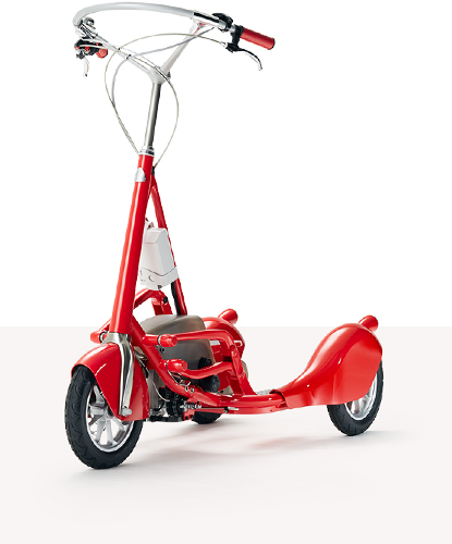 Walking Bicycle Walking Bicycle