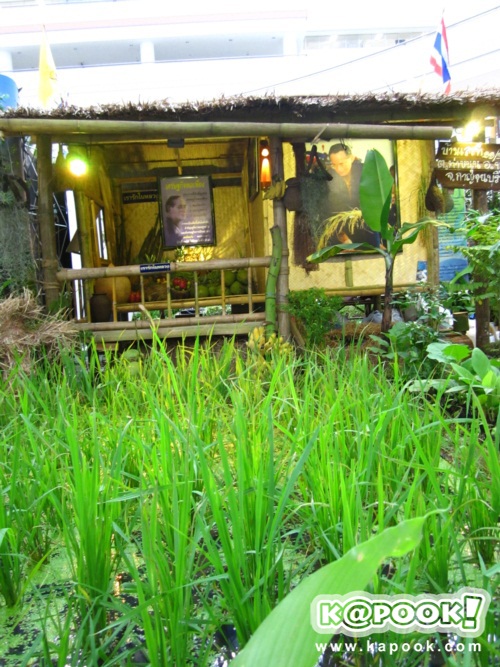 ชวนชมนิทรรศการ 4,350 การทรงงานในหลวง 13-20 ก.ค.นี้