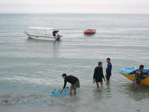 หาดเตยงาม อ่าวนาวิกโยธิน เที่ยวสบาย ๆ ชายทะเลสัตหีบ