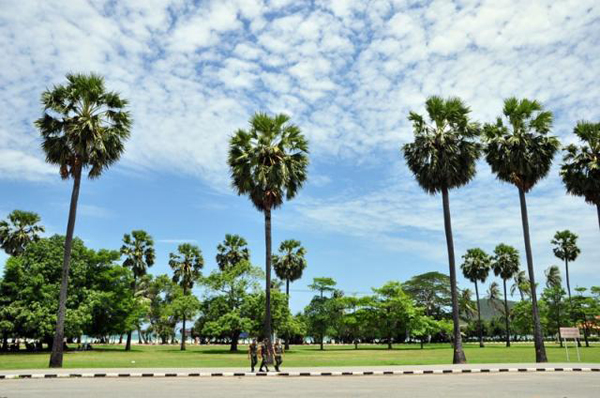 หาดเตยงาม อ่าวนาวิกโยธิน เที่ยวสบาย ๆ ชายทะเลสัตหีบ