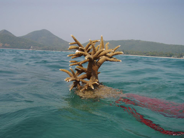 หาดเตยงาม อ่าวนาวิกโยธิน เที่ยวสบาย ๆ ชายทะเลสัตหีบ