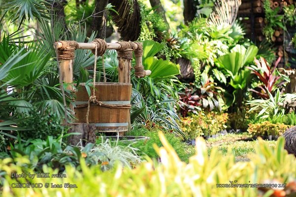 พาเที่ยวงานพรรณไม้งามอร่ามสวนหลวง ร.9 สวยตระการตา พาเที่ยวงานพรรณไม้งามอร่ามสวนหลวง ร.9 สวยตระการตา