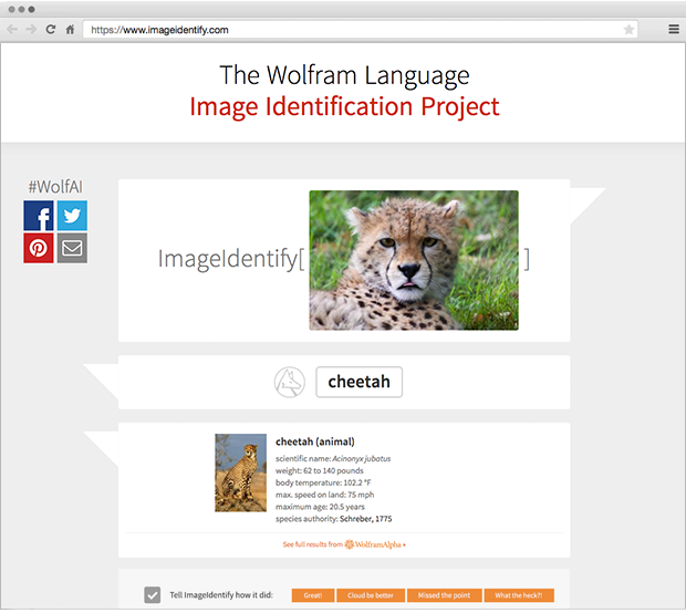 ImageIdentify แอพฯ จาก Wolfram Language ตอบได้ว่าเป็นภาพอะไร
