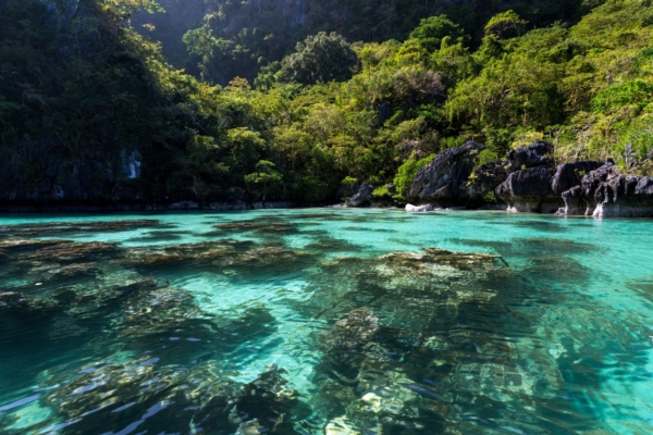 เกาะปาลาวัน ฟิลิปปินส์ เกาะปาลาวัน ฟิลิปปินส์