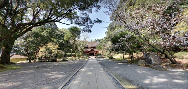 กูเกิลเปิดหน้าเว็บ ชมดอกซากุระบานในญี่ปุ่นผ่าน Street View