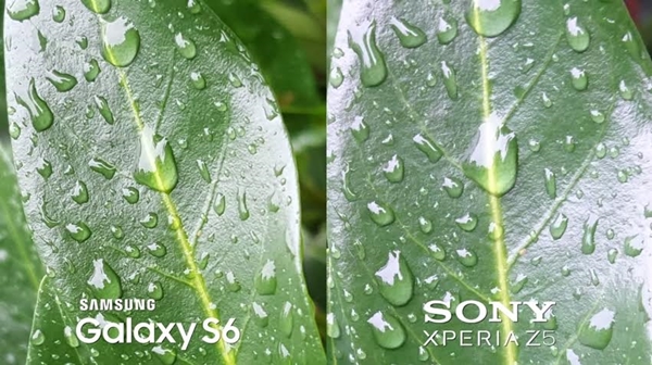 เปรียบเทียบกล้อง Galaxy S6 กับ Sony Xperia Z5