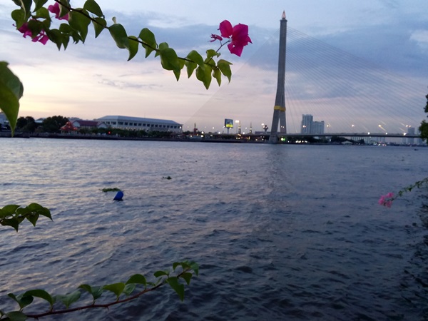 OPPO Joy 3