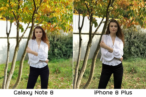 Galaxy Note 8  iPhone 8 Plus