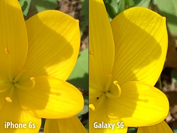 เปรียบเทียบภาพถ่าย iPhone 6s VS Galaxy S6 กล้องรุ่นไหนเหนือกว่า