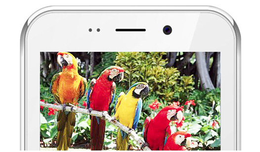 Freedom 251