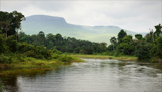 The Congo Basin
