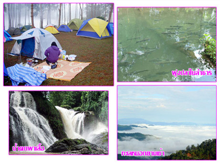 แม่ฮ่องสอน ท่องเที่ยว Travel ปาย แม่ฮ่องสอน
