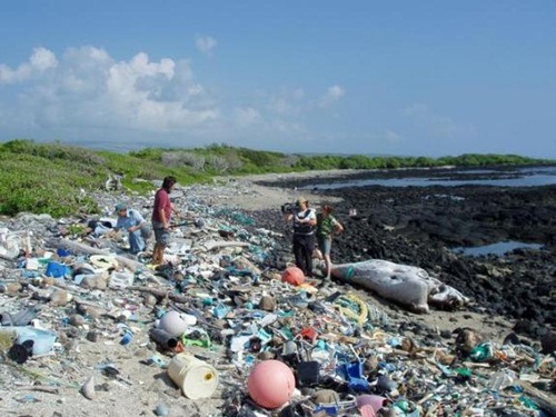 พัทยา ติด 1 ใน 7 ชายหาดที่ควรหลีกเลี่ยงทั่วโลก