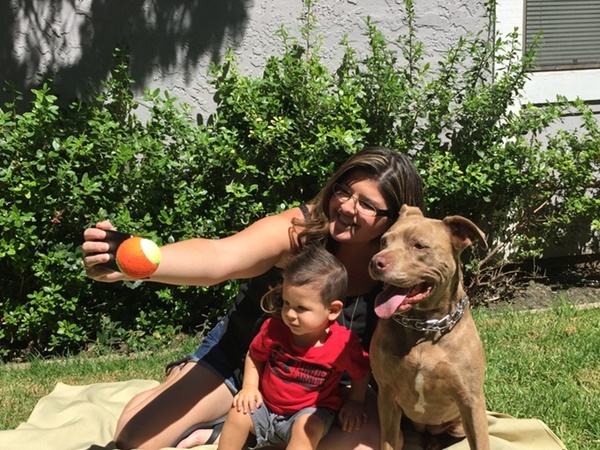Pooch selfie อุปกรณ์ช่วยถ่ายเซลฟี่กับน้องหมา ให้ออกมาเป๊ะทุกชอต !