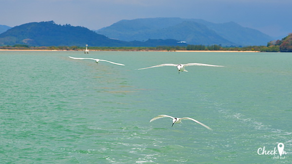 Virgin Island เมืองไทย