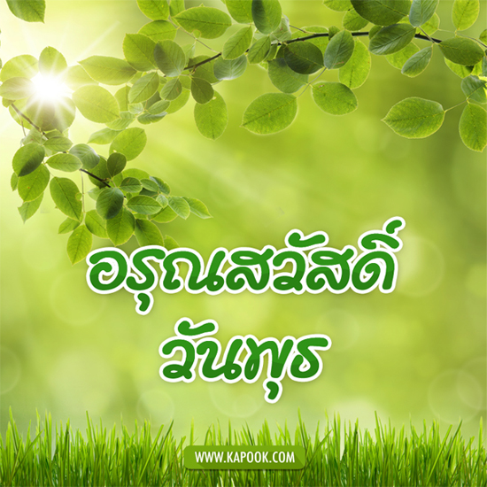 รูปภาพที่เกี่ยวข้อง