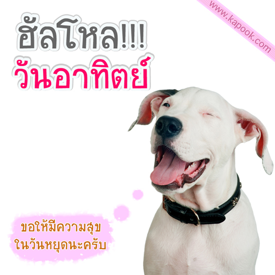 ดูดวง 23 สิงหาคม 2558