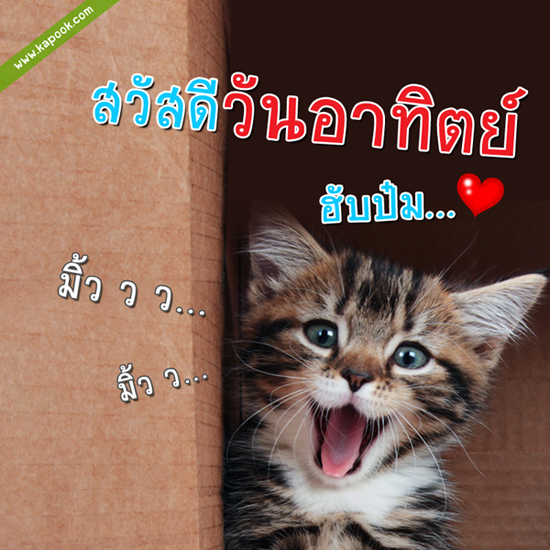 ดูดวง 22 พฤศจิกายน 2558