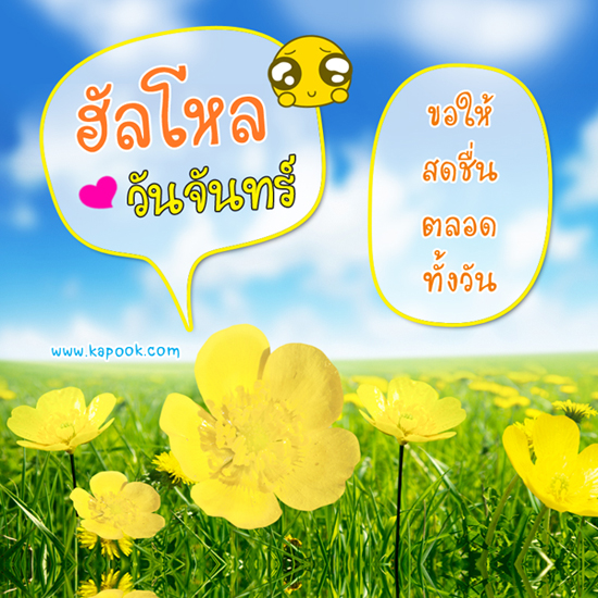 ดูดวง 23 พฤศจิกายน 2558