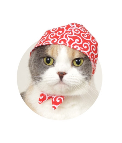 ผ้าโพกหัวน้องแมวสุดคิวท์ ไอเทมใหม่ในตู้หยอดเหรียญของญี่ปุ่น 