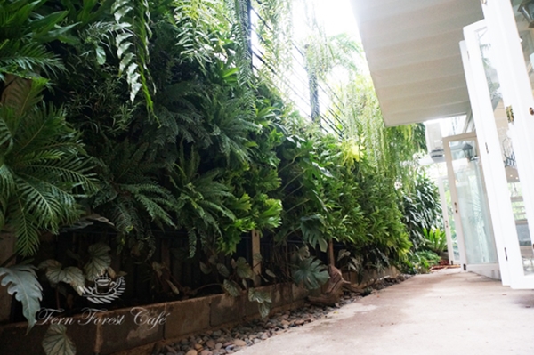 รีโนเวทบ้านเก่าอายุ 44 ปี เป็นร้านกาแฟในฝันกลางสวนเฟิร์น รีโนเวทบ้านเก่าอายุ 44 ปี เป็นร้านกาแฟในฝันกลางสวนเฟิร์น