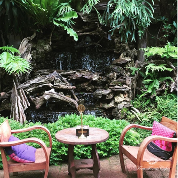 รีโนเวทบ้านเก่าอายุ 44 ปี เป็นร้านกาแฟในฝันกลางสวนเฟิร์น รีโนเวทบ้านเก่าอายุ 44 ปี เป็นร้านกาแฟในฝันกลางสวนเฟิร์น