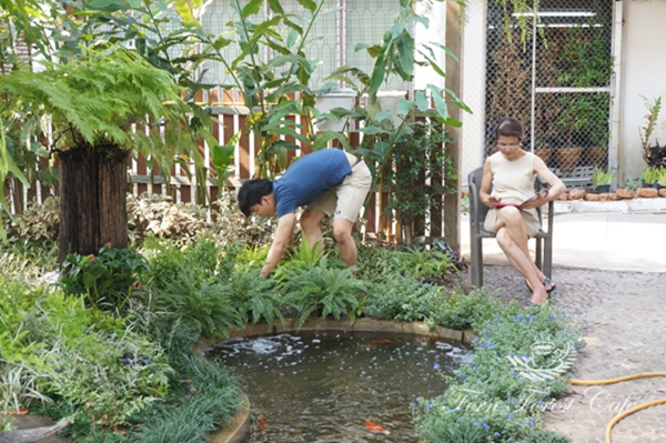 รีโนเวทบ้านเก่าอายุ 44 ปี เป็นร้านกาแฟในฝันกลางสวนเฟิร์น รีโนเวทบ้านเก่าอายุ 44 ปี เป็นร้านกาแฟในฝันกลางสวนเฟิร์น