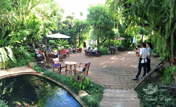 รีโนเวทบ้านเก่าอายุ 44 ปี เป็นร้านกาแฟในฝันกลางสวนเฟิร์น รีโนเวทบ้านเก่าอายุ 44 ปี เป็นร้านกาแฟในฝันกลางสวนเฟิร์น