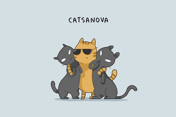 ภาพการ์ตูนแมว ชนชั้นแมว