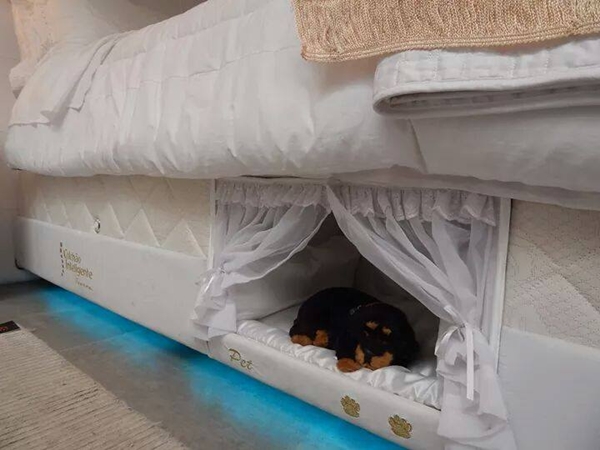รักหมาจริงไม่ควรพลาด เตียงนอนดีไซน์เก๋มีช่องนอนเจ้าตูบในตัว 