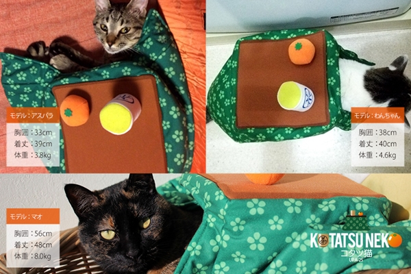 ชุดโคทัตสึ แฟชั่นญี่ปุ่นสุดคิวท์ เปลี่ยนหมา-แมวเป็นโต๊ะเคลื่อนที่ 