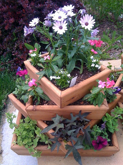 20 ไอเดียสุดบรรเจิด จัดสวนไซส์มินิบนพื้นที่จำกัด