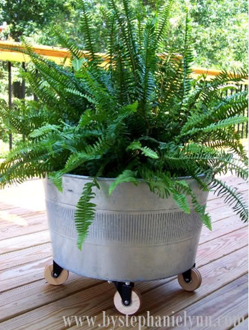 20 ไอเดียสุดบรรเจิด จัดสวนไซส์มินิบนพื้นที่จำกัด