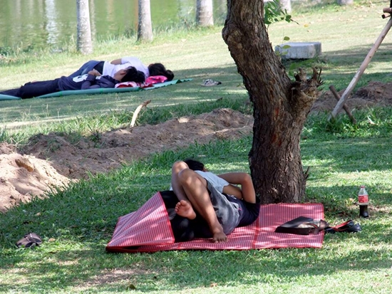 จับเด็กนักเรียน-นักศึกษา หนีเรียนมานอนพลอดรักในสวนสาธารณะ เพียบ !