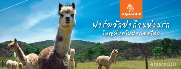 ที่เที่ยวโดน ๆ สำหรับเด็ก ๆ ที่เที่ยวโดน ๆ สำหรับเด็ก ๆ