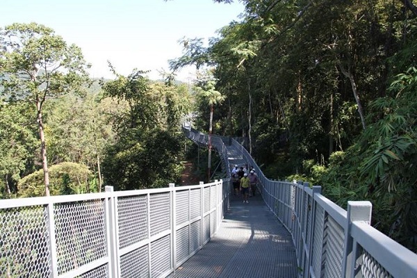 Canopy Walkway