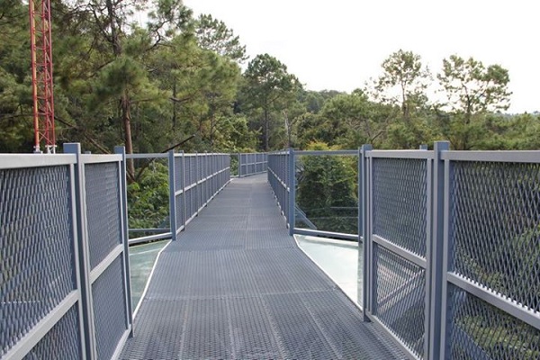 Canopy Walkway