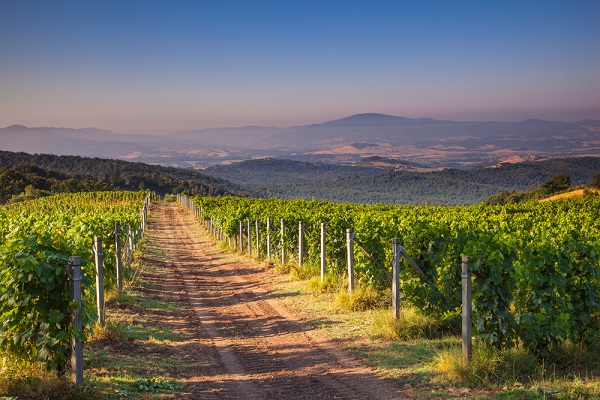 Chianti เมืองแห่งไร่องุ่นสุดโรแมนติก