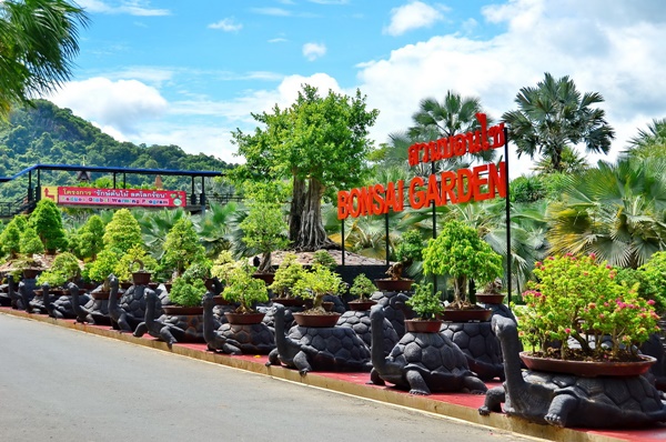 สวนนงนุช พัทยา