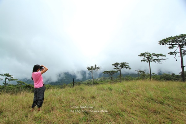 ภูสอยดาว