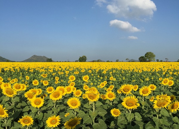 ที่เที่ยวหน้าหนาวนอนนับดาวในเดือนพฤศจิกายน