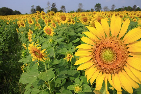 ที่เที่ยวหน้าหนาวนอนนับดาวในเดือนพฤศจิกายน