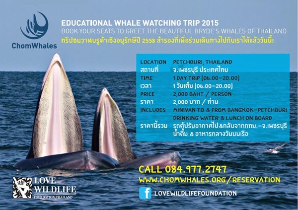 ทริปท่องเที่ยวเชิงอนุรักษ์ ชมวาฬที่อ่าวไทยปี 2558
