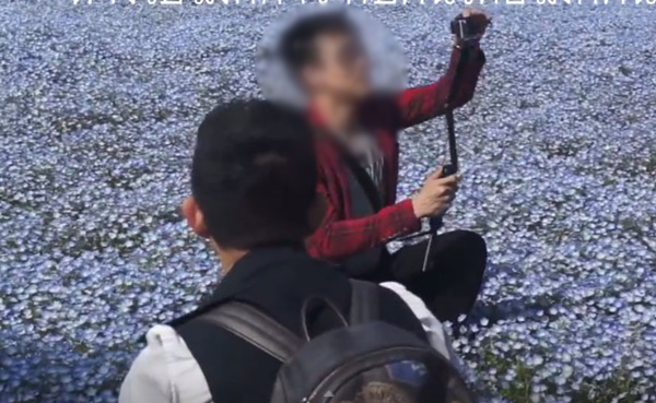 งามหน้าอีกแล้ว นักท่องเที่ยวไทยไปญี่ปุ่น ทำแบบนี้เพื่อถ่ายเซลฟี่เก๋ ๆ