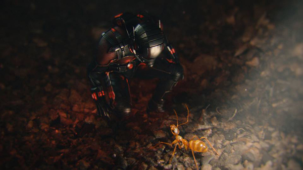 10 เรื่องน่ารู้ พอล รัดด์ พระเอก Ant-Man 