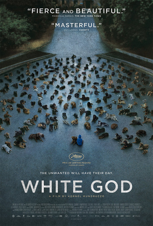 White God หนังมาแรงจากฮังการี เมื่อน้องหมาขอปฏิวัติ