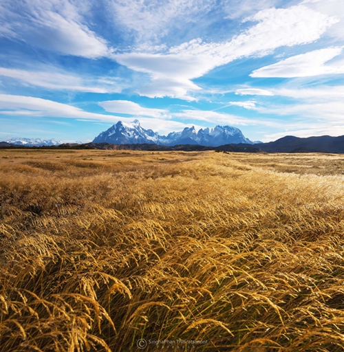 Patagonia