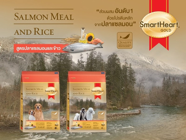 SmartHeart GOLD Salmon Meal&Rice