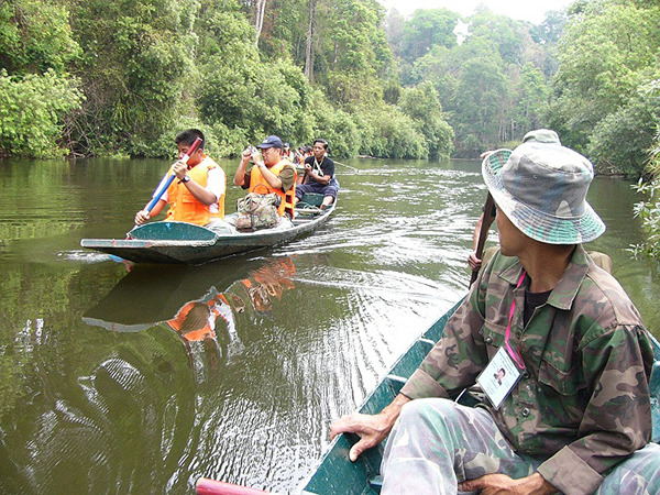 เทศกาลพายเรือเที่ยวป่าตามหา แมงกะพรุนน้ำจืด