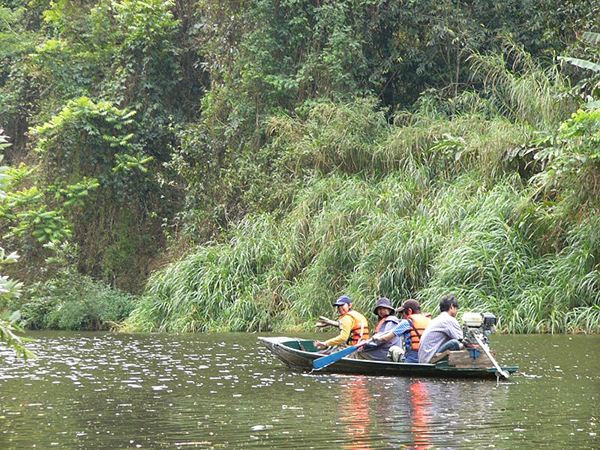 เทศกาลพายเรือเที่ยวป่าตามหา แมงกะพรุนน้ำจืด